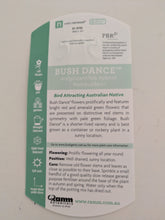 Bush Dance Kangaroo paw Bush Gems.